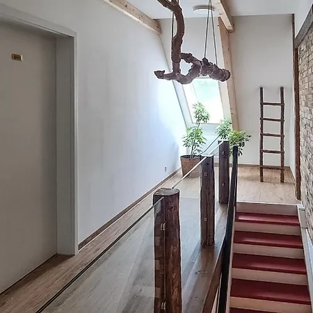 Ferienhaus Mit 3 Separaten Ferienwohnungen In Zirtow Bei Wesenberg فيسينبيرغ